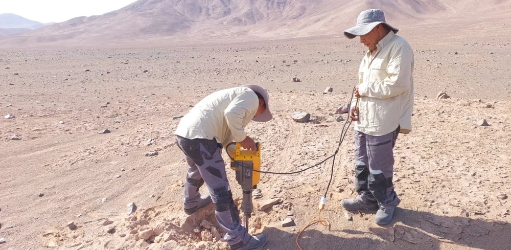 Trabajo de terreno para elaboración de línea base de suelo